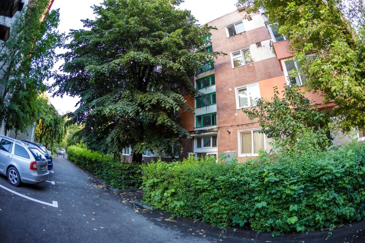 באיה מארה Apartament Family Rivulus 9 מראה חיצוני תמונה